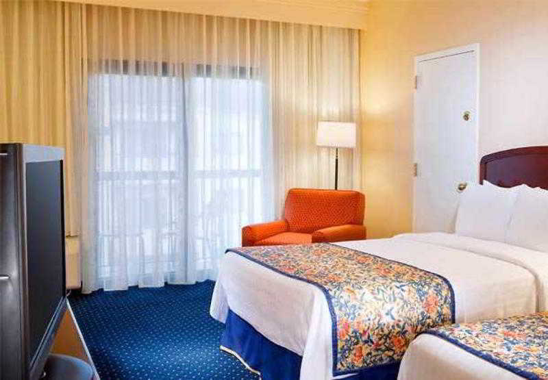 Courtyard By Marriott Dallas Northwest Zewnętrze zdjęcie